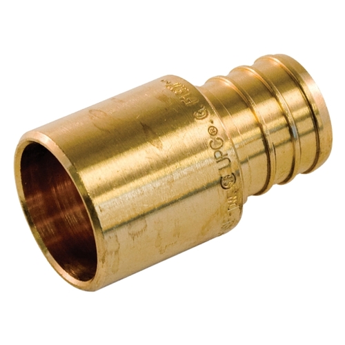 Pipe Adapter, 3/4 in, PEX x Male Sweat, Brass