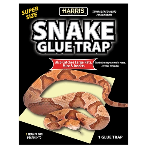 Snake Glue Trap, 15.4 in L, 9.9 in W, Glue Board Locking