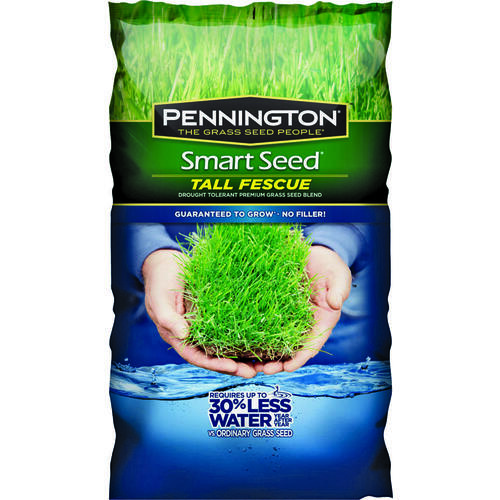 SEED/TALL FESCUE BLEND 20#