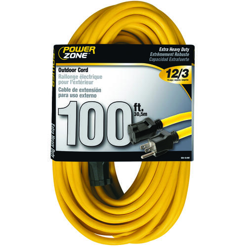 Extension Cord, 12 AWG Cable, 100 ft L, 13 A, 125 V, Yellow