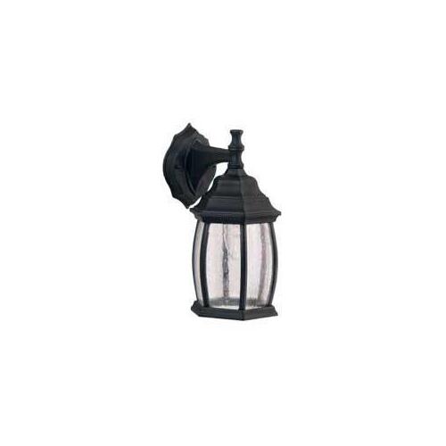 CANARM IOL1210 Outdoor Lantern, 120 V, 100 W, Aluminum Fixture, Black Fixture