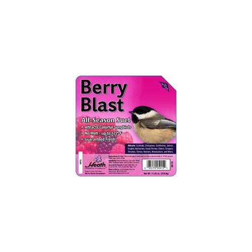 Heath DD-15 Suet Cake, All-Season, Berry Flavor, 11.25 oz