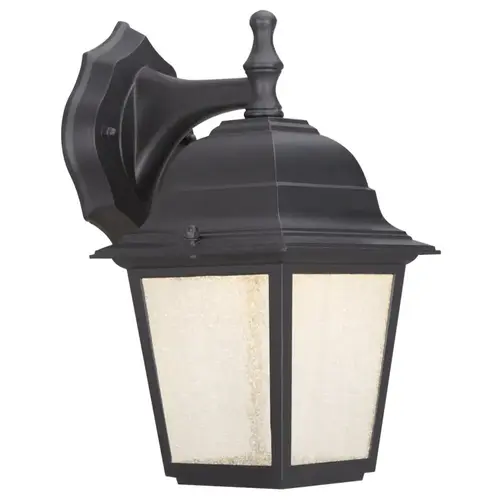 Outdoor Wall Lantern, 120 V, 9 W, 500 K Lumens, 3000 K Color Temp, Metal Fixture, Black Fixture