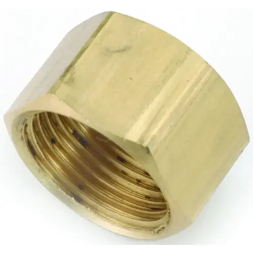 Tube Cap, 1/2 in, Compression, Brass - pack of 10