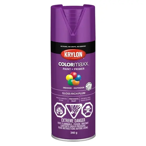 COLORmaxx Paint and Primer, Gloss, Rich Plum, 12 oz, Can