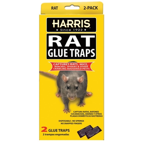 Harris HRG-2 Rat Glue Trap - pack of 2