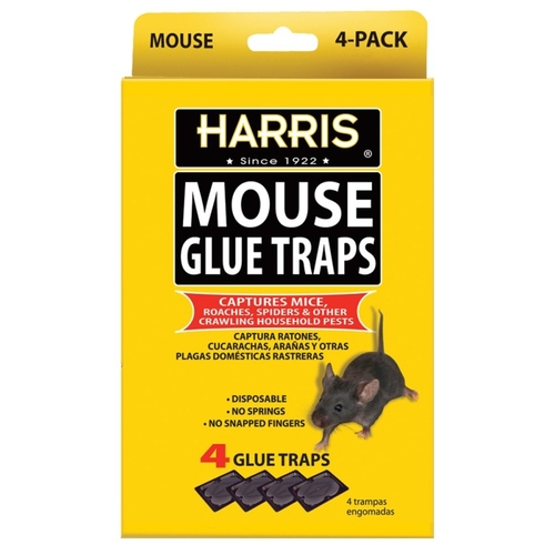 Harris HMG-4 Mouse Glue Trap - pack of 4