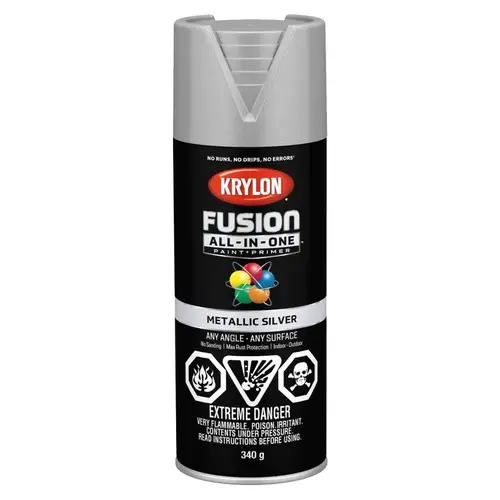 COLORmaxx General Purpose Paint, Metallic, Silver, 12 oz, Aerosol Can