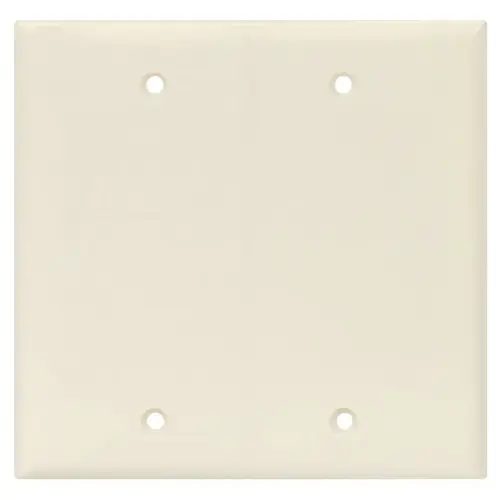 Blank Wallplate, 4.87 in L, 4.97 in W, 0.08 in Thick, 2 -Gang, Polycarbonate Light Almond