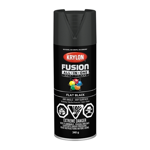 Fusion All-In-One Paint and Primer, Flat, Black, 12 oz, Can