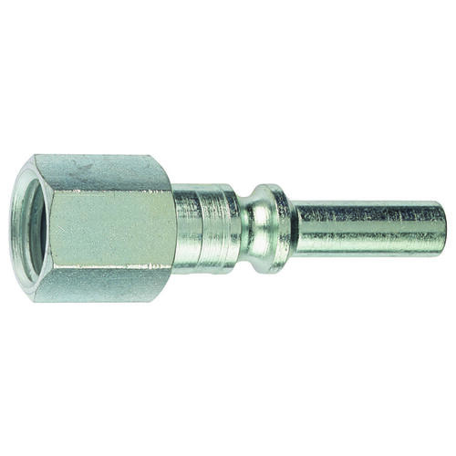 Plug, 1/4 in, FNPT, Steel