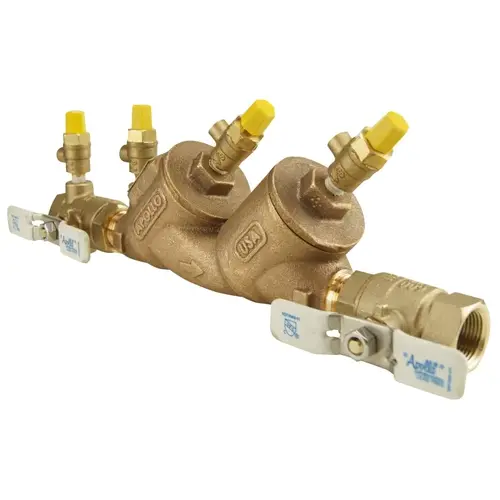Check Valve, 3/4 in, 175 psi Pressure, Bronze Body