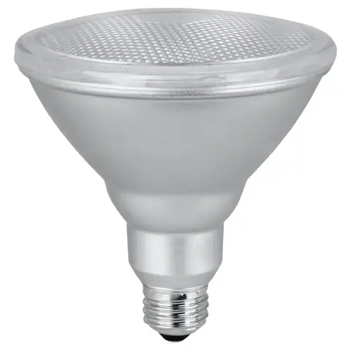 LED Lamp, Flood/Spotlight, PAR38 Lamp, 120 W Equivalent, E26 Lamp Base, Dimmable Clear