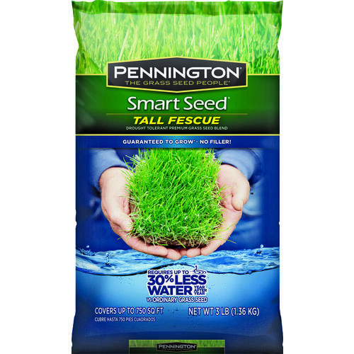 SEED/TALL FESCUE BLEND 3#