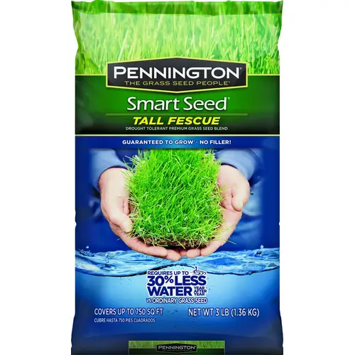 PENNINGTON SEED VIRGINIA DIV 100543722 SEED/TALL FESCUE BLEND 3#