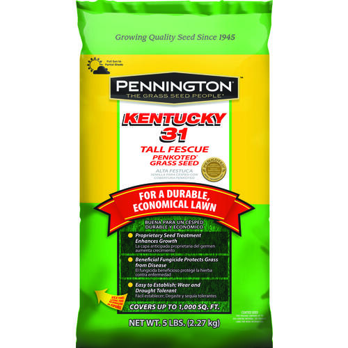 Pennington 100516050 Kentucky 31 Series Grass Seed, 5 lb Bag