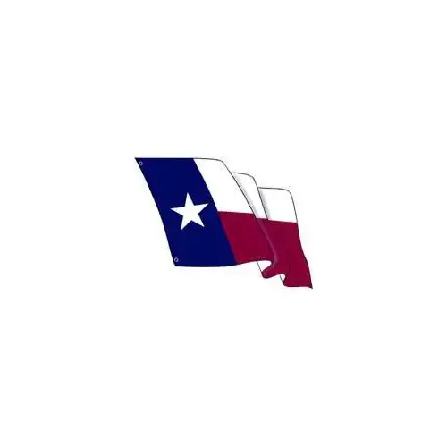 Texas Flag Kit Multicolored