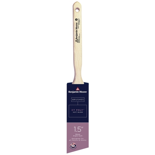 Paint Brush, Soft Brush, CT Polymer Bristle, Angle Sash Handle