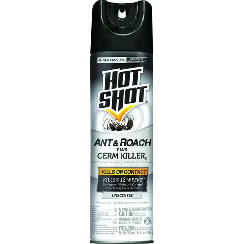 Ant, Liquid, Spray Application, Indoor, Outdoor, 17.5 oz Aerosol Clear/Yellow