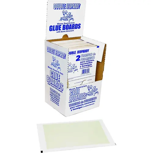 Board Trap Double Jeopardy Small Glue For Insects and Mice Pair Clear/Pale Yellow