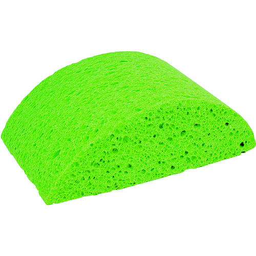 Turtleback Sponge, Green