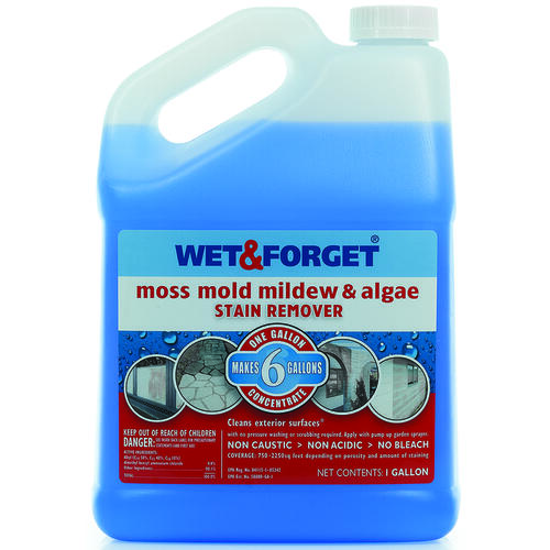 Wet & 800006 REMOVER MOLD/MLDW STAIN 1 GAL