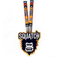 Jack Link's 10000012177 Beef Stick Squatch Original 1 oz Pegged