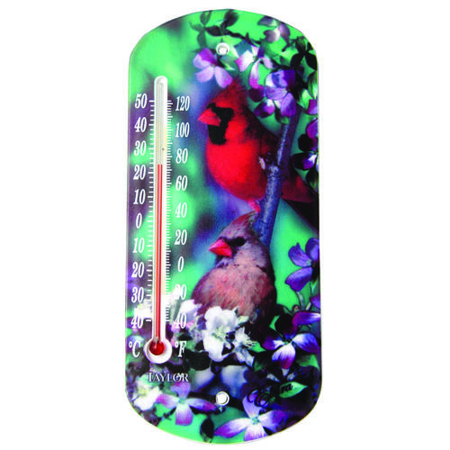 Tube Thermometer Bird Design Plastic Multicolored 8" Multicolored