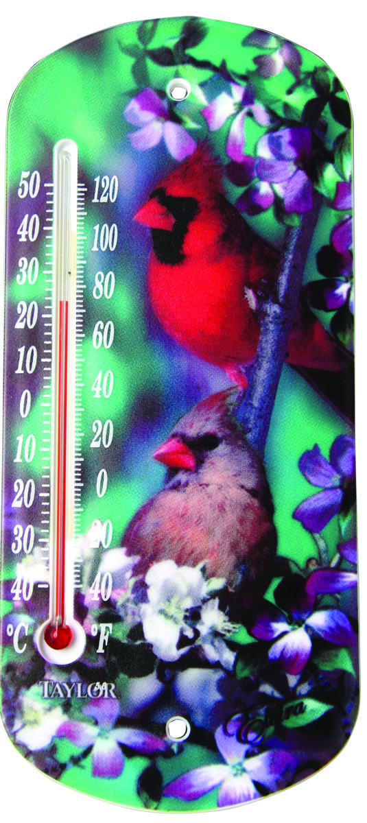 TAYLOR 5204 Tube Thermometer Bird Design Plastic Multicolored 8" Multicolored