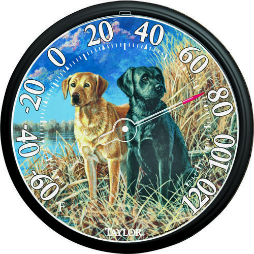 Labrador Thermometer, 13-1/4 in Display, -60 to 120 deg F Multicolored