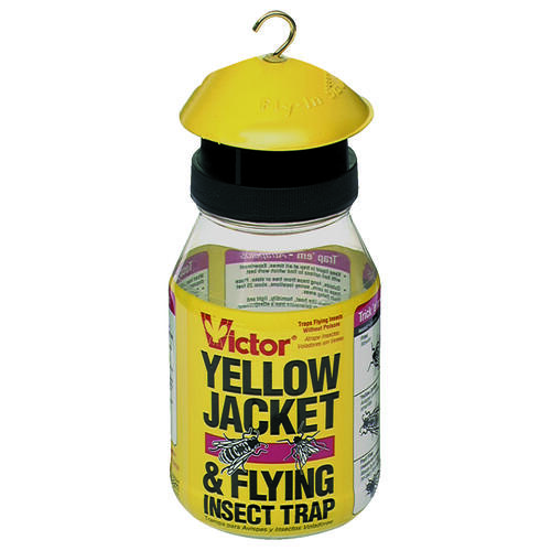 Yellow Jacket Trap, Fruity