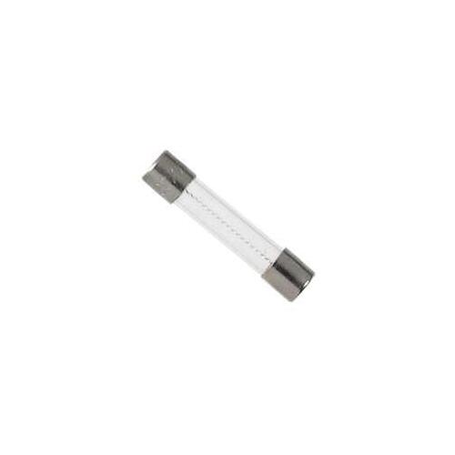 Fuse, 2 A, 250 V, 100 A, 10 kA Interrupt, Glass Body, G, Electronic, Fast Acting Fuse - pack of 25