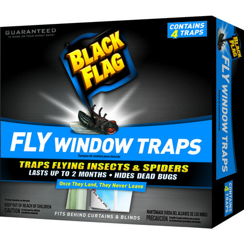 Fly Window Trap, Solid, 1 Pack White - pack of 4