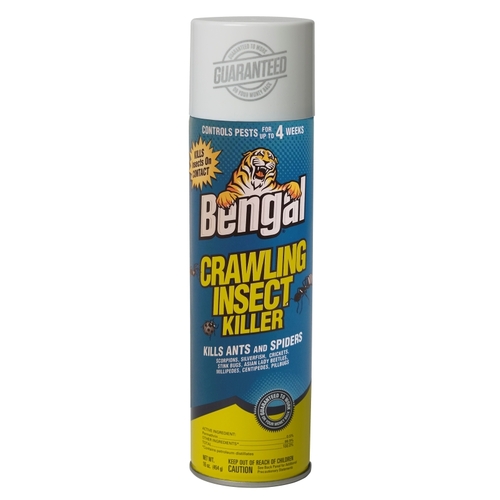 Crawling Insect Killer, Spray Application, Indoor, Outdoor, 16 oz Aerosol Can