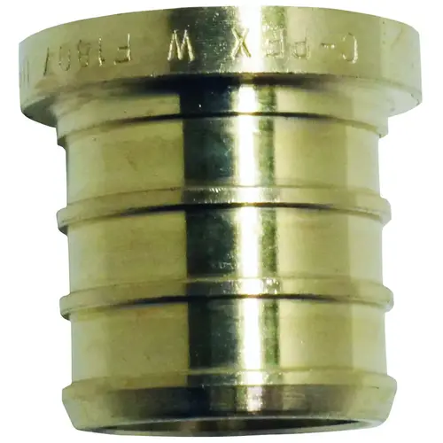 Test Pipe Plug, 3/4 in, Barb Brass