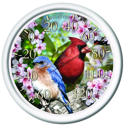 Dial Thermometer Cardinal/Blue Bird Plastic Multicolored 13.25" Multicolored