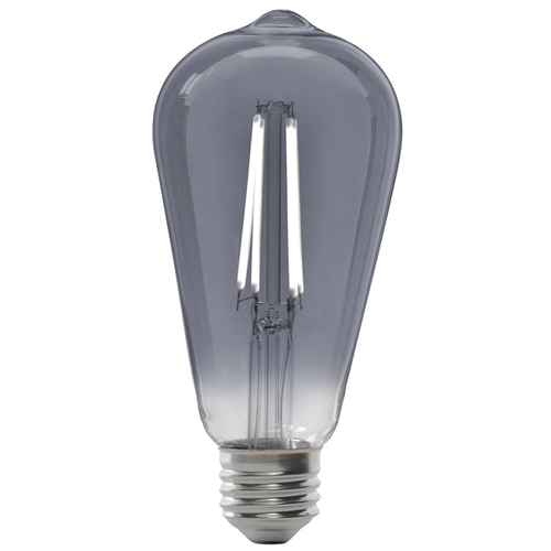 LED Bulb, Decorative, ST19 Lamp, 25 W Equivalent, E26 Lamp Base, Dimmable, Clear