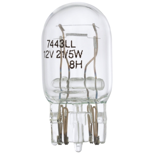 Miniature Automotive Bulb, 13.5 V, Halogen Lamp, Bayonet Base, Clear Light Pair