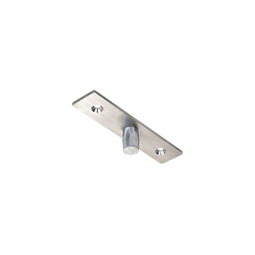 CRL 1NT401 Brushed Stainless Top Center-Hung Free Swing Pivot