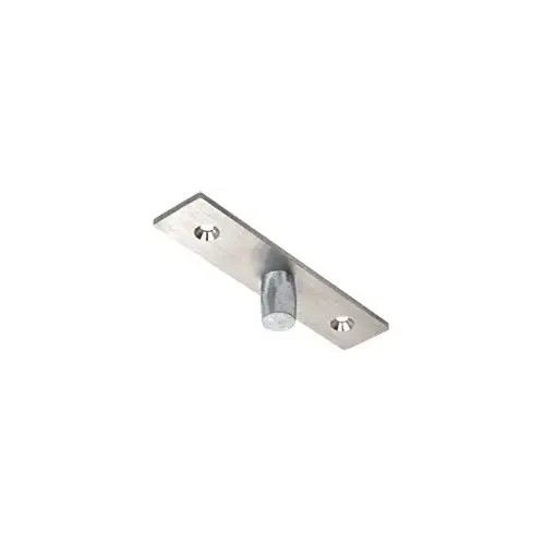 CRL 1NT401 Brushed Stainless Top Center-Hung Free Swing Pivot