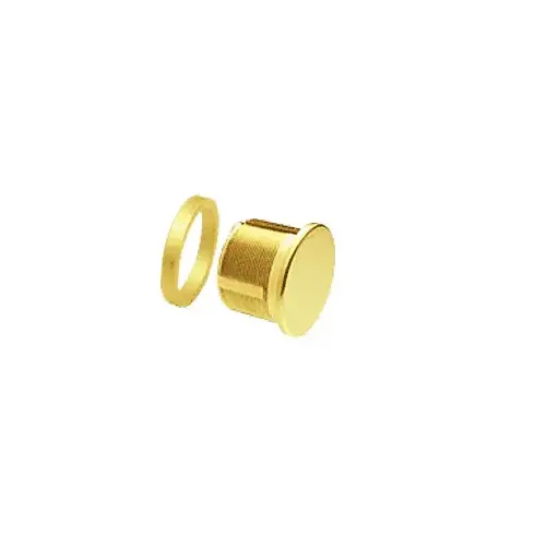 Polished Brass Mortise Dummy Cylinder