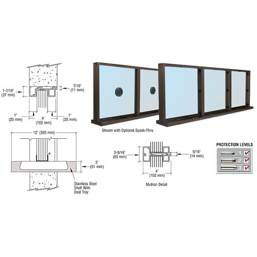 Dark Bronze Aluminum Narrow Inset Frame Multi-Lite Special Window