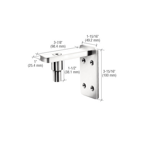 Polished Stainless Wall Mount Gate Pivot