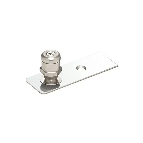 Polished Stainless Floor Mounted Adjustable Free-Swing Pivot