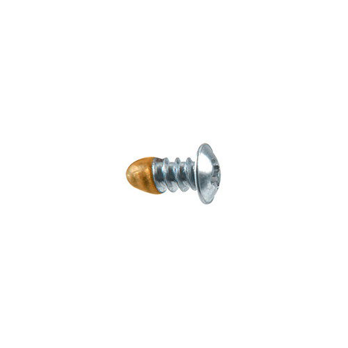 8 x 3/8" Phillips Oval Head T-Stud Replacement Screw (with Sealer)