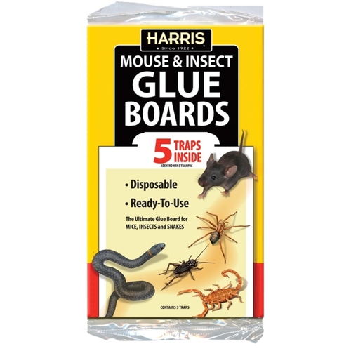 Glue Board - pack of 5