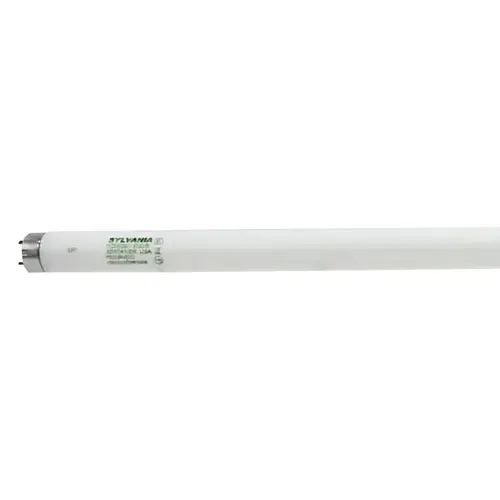 Fluorescent Bulb, 32 W, T8 Lamp, Medium Lamp Base, 2750 Lumens, 4100 K Color Temp, Cool White Light - pack of 30