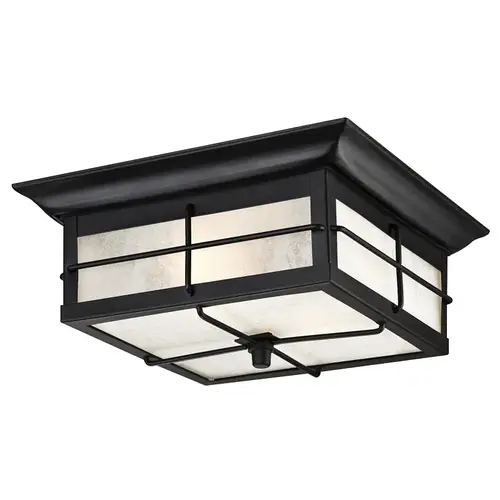 Orwell Series Outdoor Fixture, 2-Lamp, Steel Fixture, Textured Fixture, Black