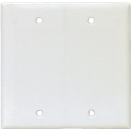 Wallplate, 8 in L, 1/4 in W, 2 -Gang, Polycarbonate, White, High-Gloss, Box Mounting