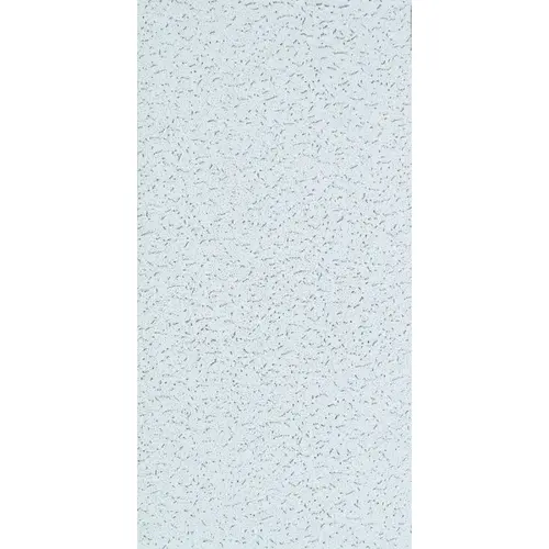 USG 280 Fifth Avenue Series CTN Ceiling Panel, 48 in L, 24 in W, 5/8 in Thick, Directional Fissured Pattern, White - pack of 8